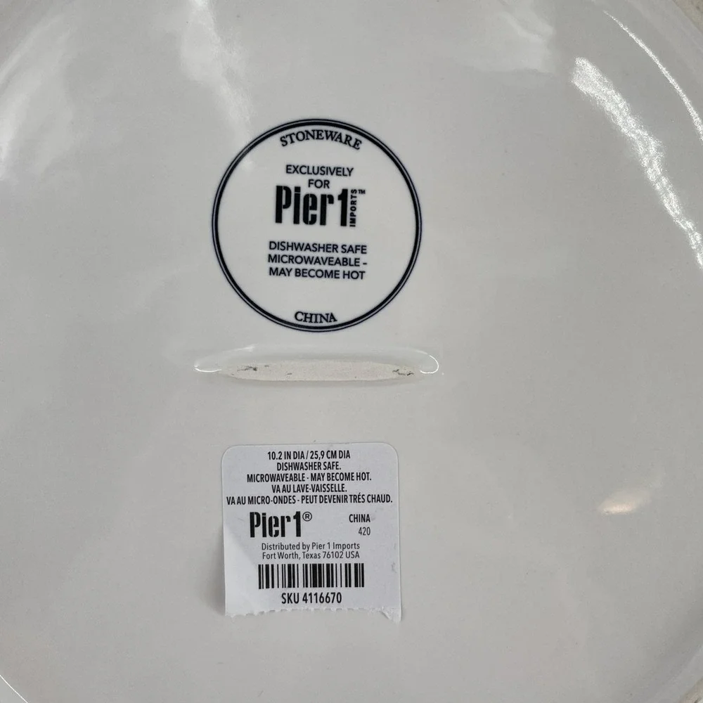 NWT Pier 1 Buffalo Harvest Pumpkin Dinner Plates Set Of 2 Black & White 10.5